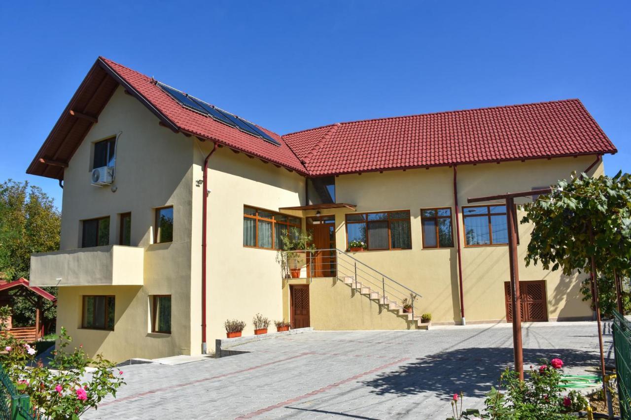 Tomis House Hotel Curtea de Argeş Buitenkant foto